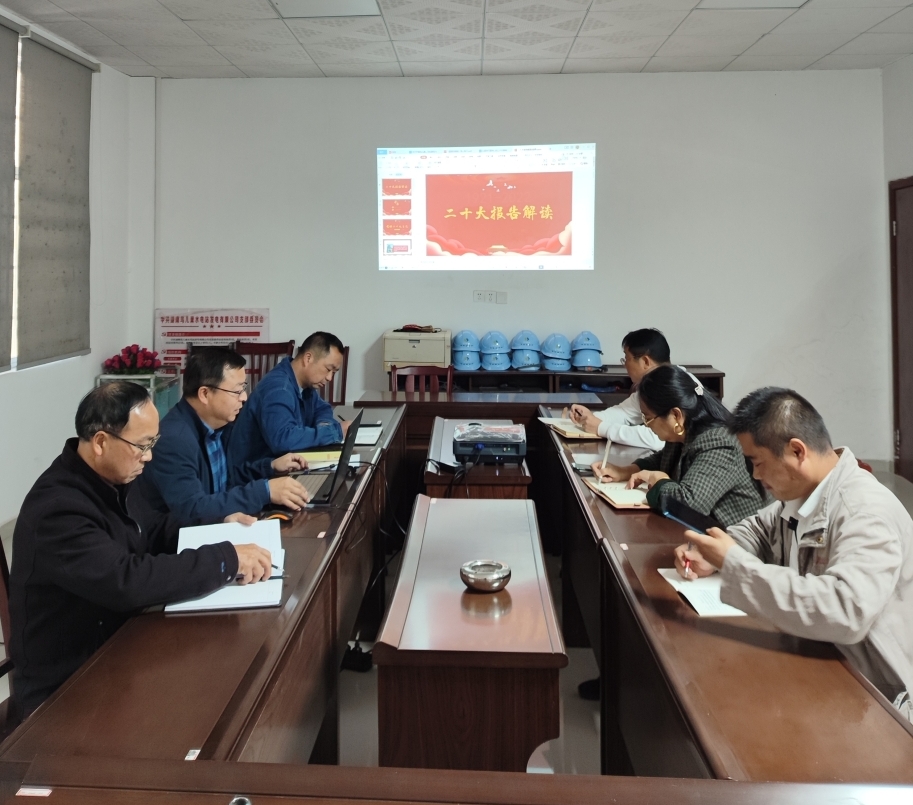 鳥兒巢公司黨支部開(kāi)展“一課一片一實(shí)踐”主題黨日活動(dòng)